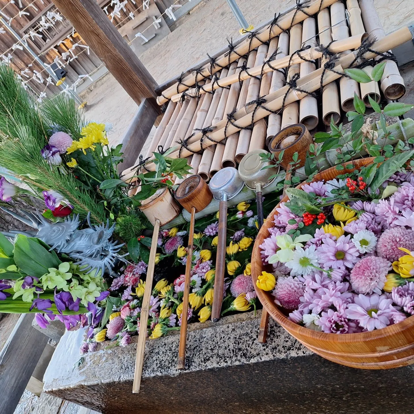 今年もよろしくお願いいたします✨