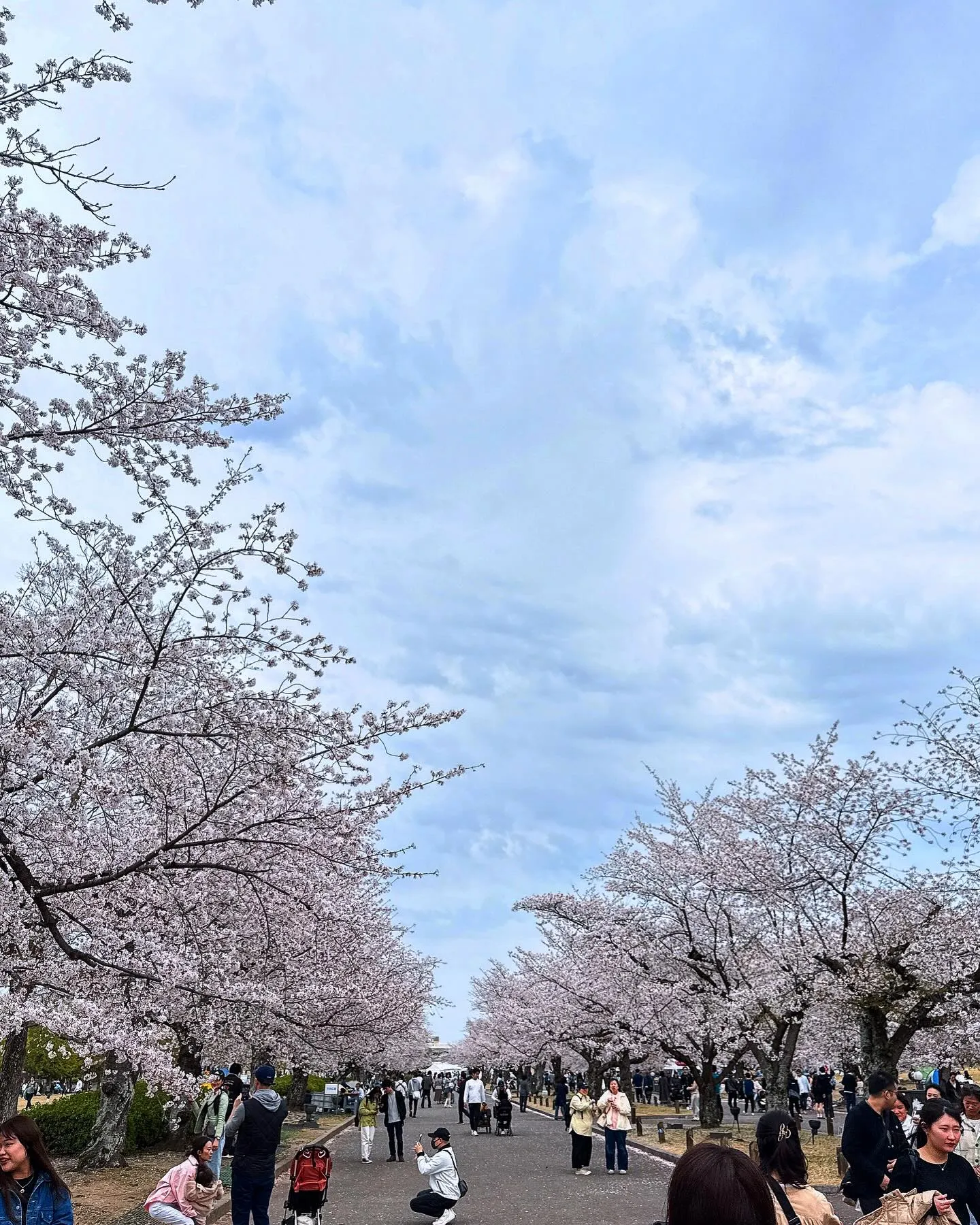 万博にお花見🌸に行ってきました〜〜！