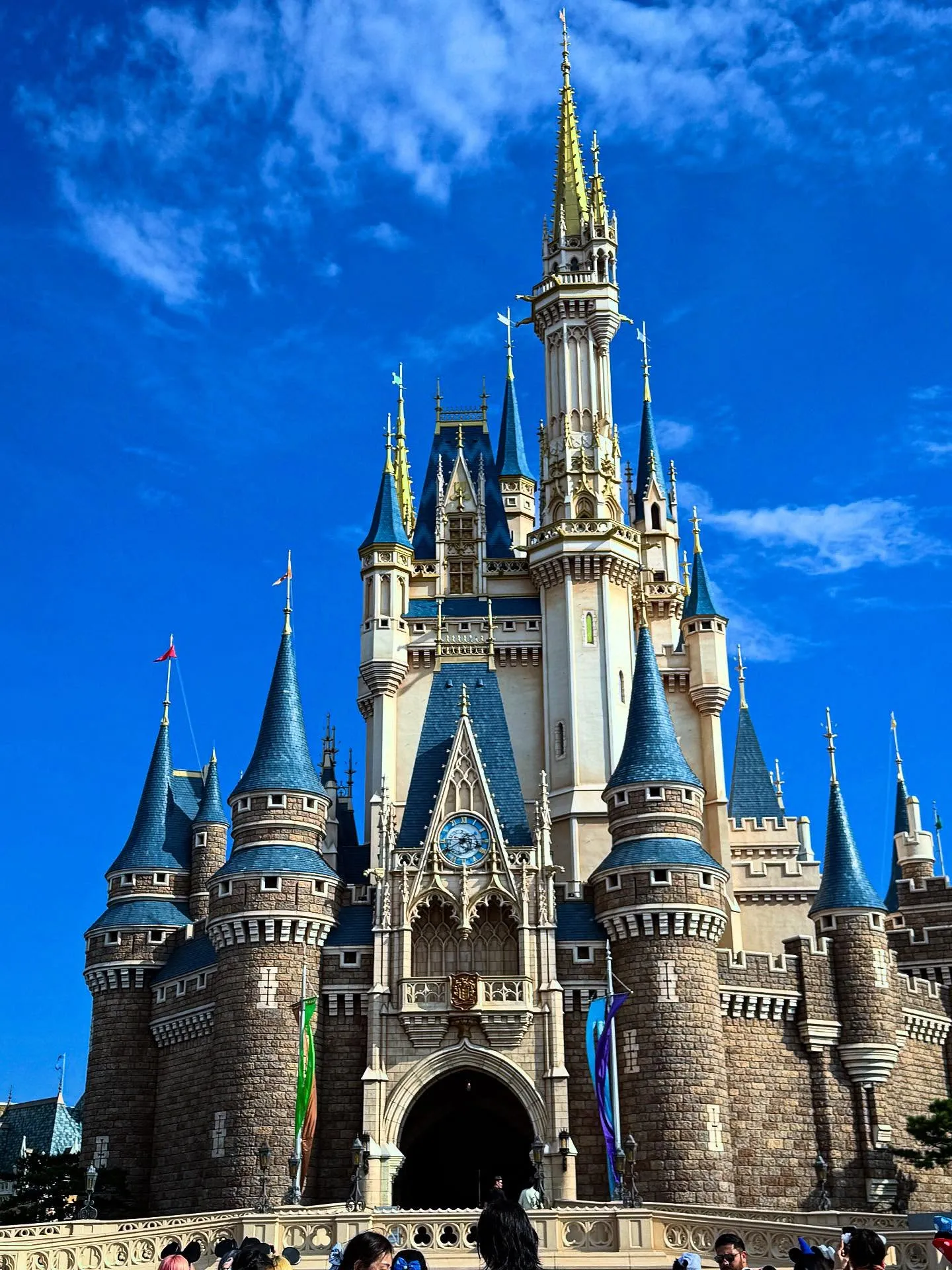 今年もお盆休みにディズニーに行ってきました〜〜！