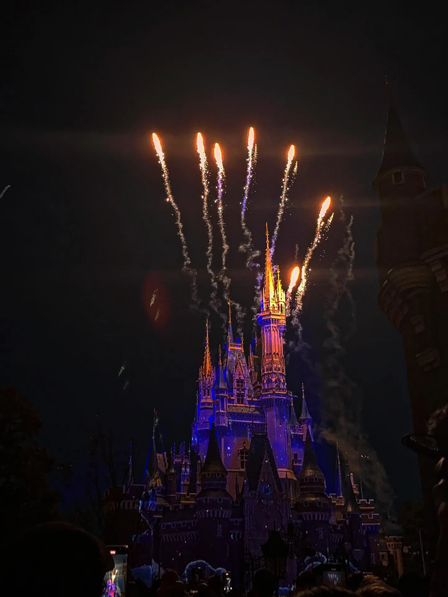 今年もお盆休みにディズニーに行ってきました〜〜！