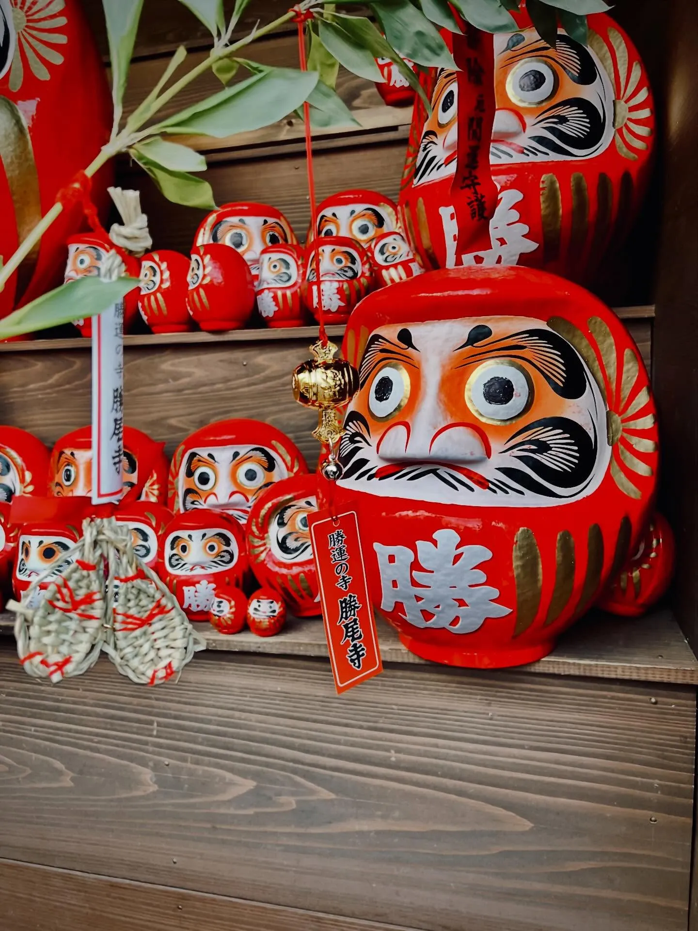 明けましておめでとうございます！