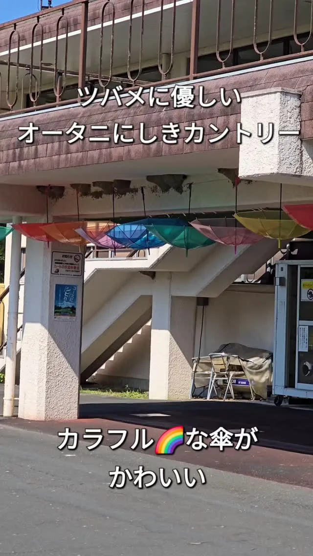 昨日炎天下の中行った 